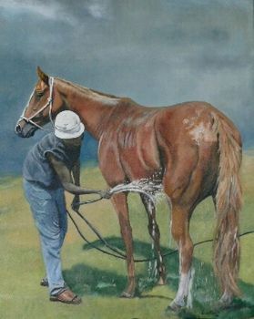 "The Wash #1"