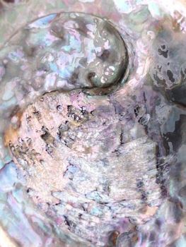 "Motherofpearl"