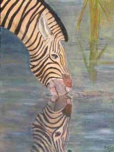 "Drinking Zebra"