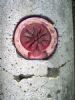 "Red Form"