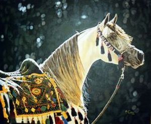 "Arab Horse"