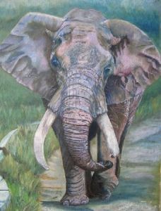 "Kruger Elephant"