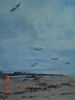 "Beach Birds - Strand Cape"