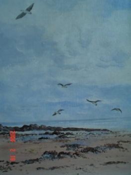 "Beach Birds - Strand Cape"