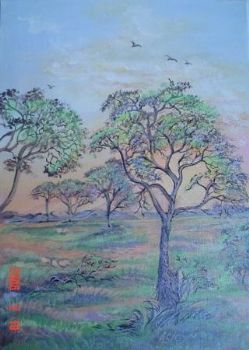 "Kalahari Sunset Veld"