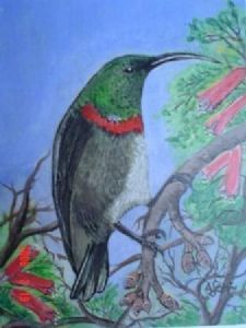 "Sunbird"
