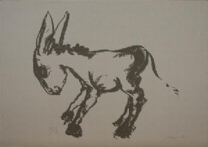 "Foal"