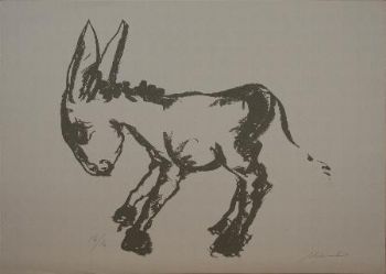 "Foal"