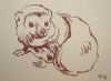 "Dassie 2"