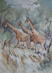 "Three Giraffe"