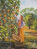"Harvesting Oranges"