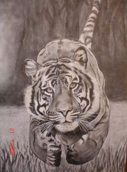 "Tiger from the Woods"