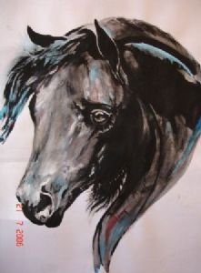 "Arabian Black Beauty"