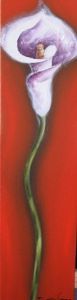 "Arum Lily"