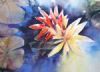 "Waterlilies"
