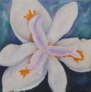 "My garden 4"