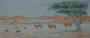 "Springbok Three"