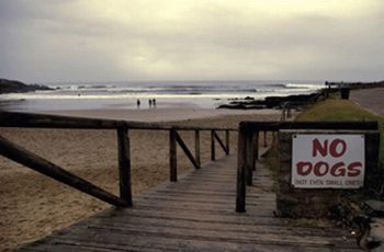 "Vic Bay"