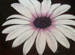 "White Daisy"