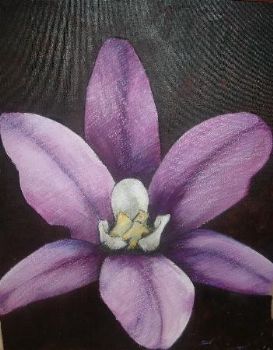 "Purple Orchard"