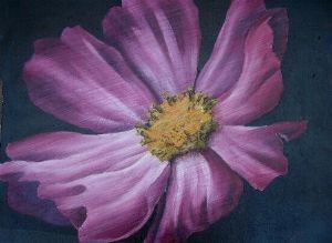 "Purple Poppy Style"