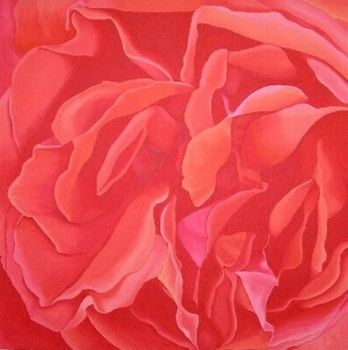 "C Rose"