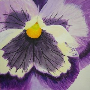 "Pansy A"