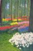 "Spring Garden"