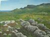 "Cape Point"