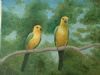 "Parrots"