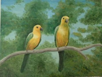 "Parrots"