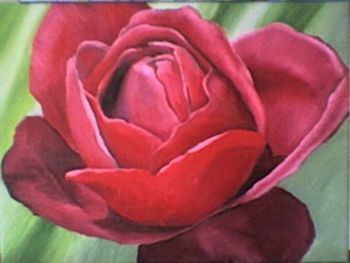 "Red Rose"