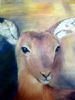 "Impala"