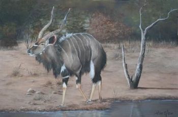 "Nyala at Waterhole"