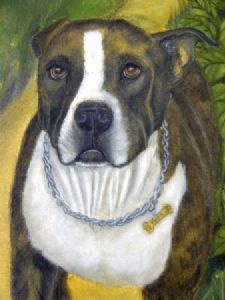 "Mojo detail"