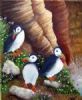 "Puffins"
