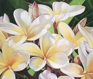 "Frangipani"
