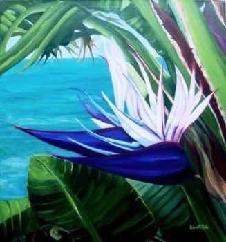 "Indian Ocean View"