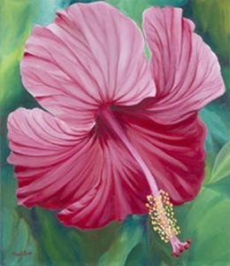 "Hibiscus"