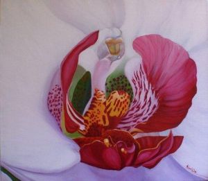 "Orchid"