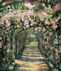 "Rose Archway"