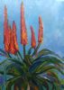 "Aloes"