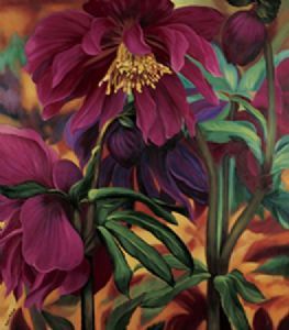 "Cerise Dahlias"