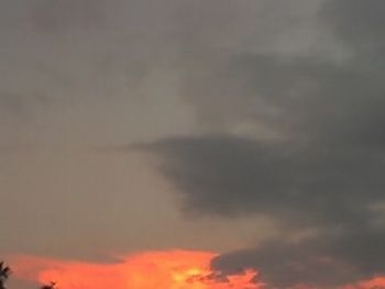 "Redsky"