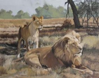 "Lion Couple"