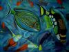 "reef fish"