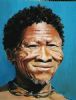 "Smiling Bushman"