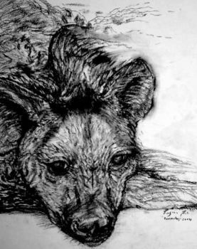 "Hyena Series 1"