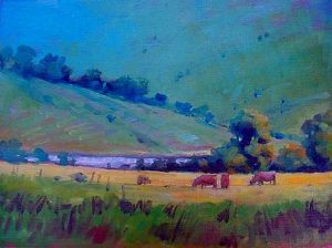 "Cows Near Underberg, South Africa"