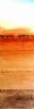 "Dryland Farm I"